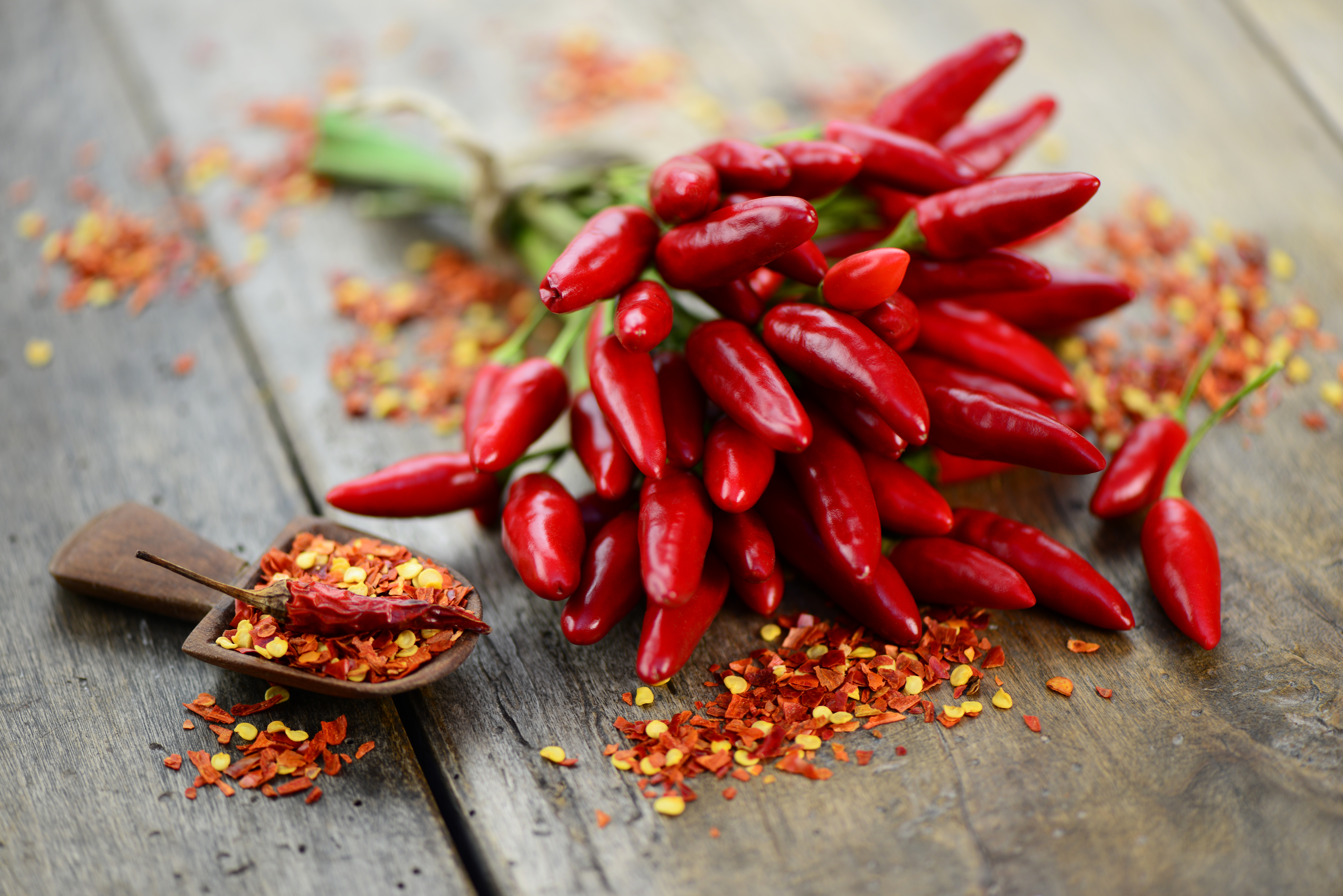 Peperoncino Festival, Calabria, Italy