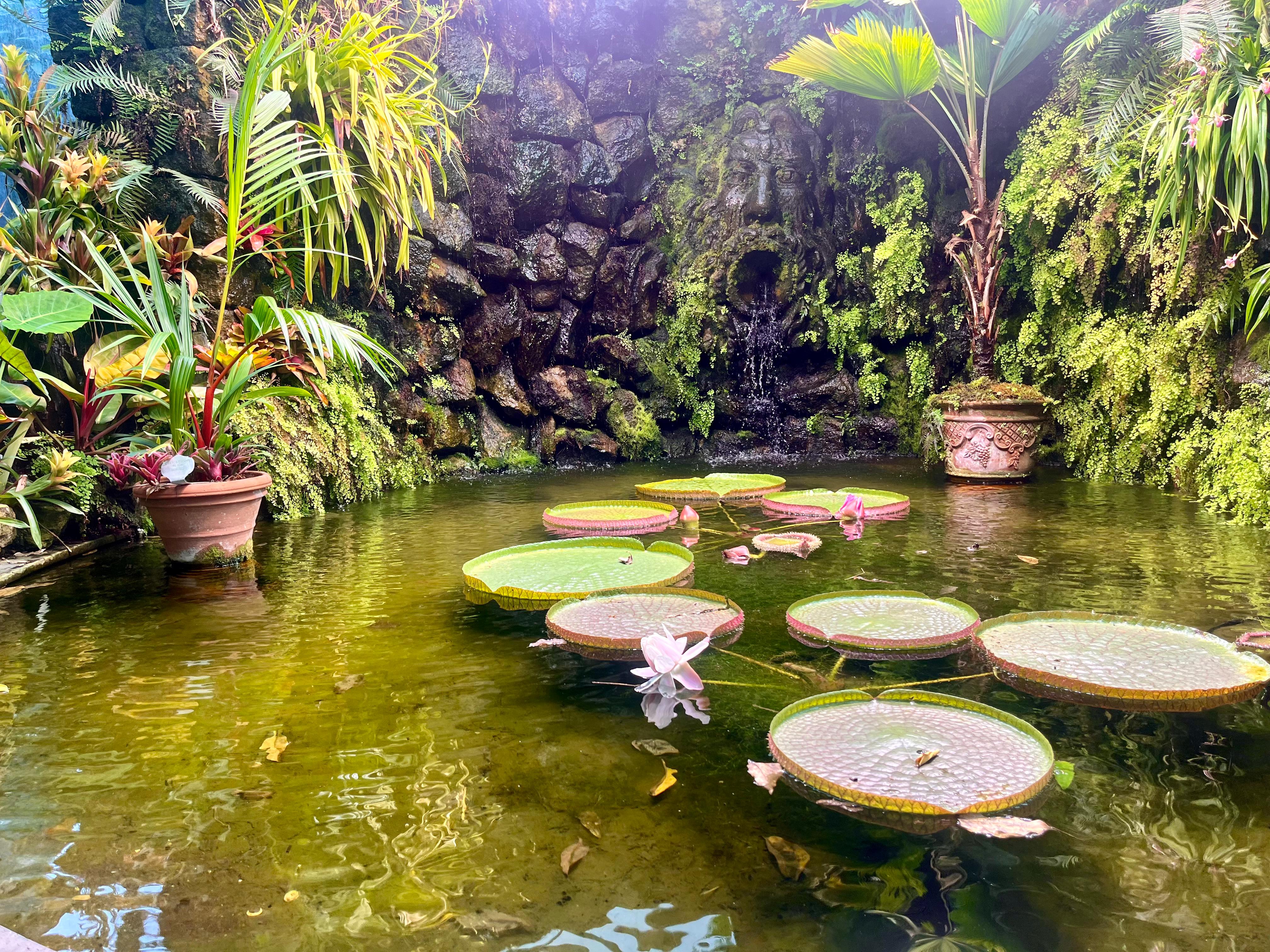 La Mortella Gardens, Ischia