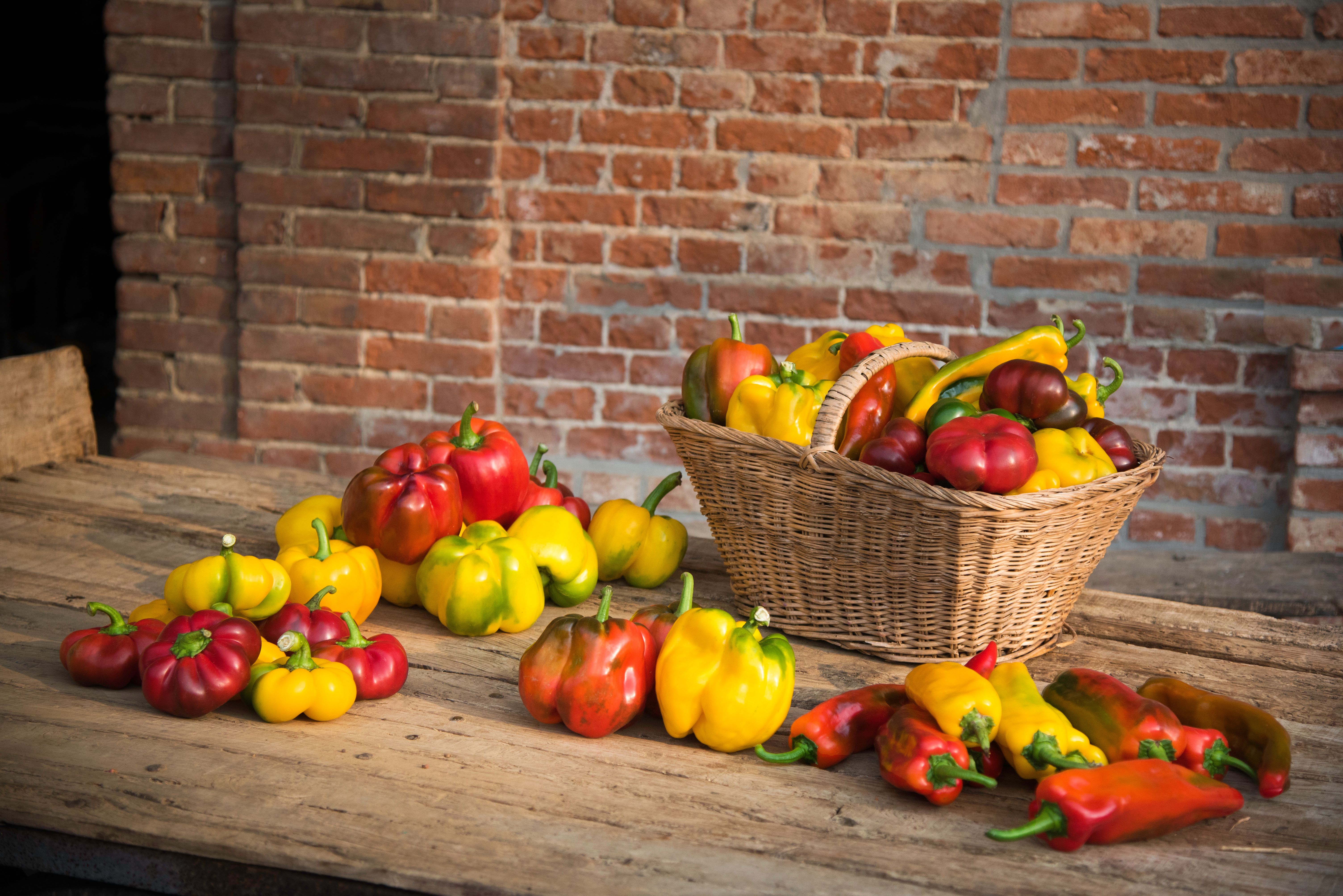 Carmagnola sweet peppers Carmagnola sweet peppers