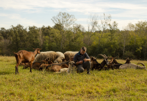 The Pertusio Brothers Roero's best artisanal cheesemakers